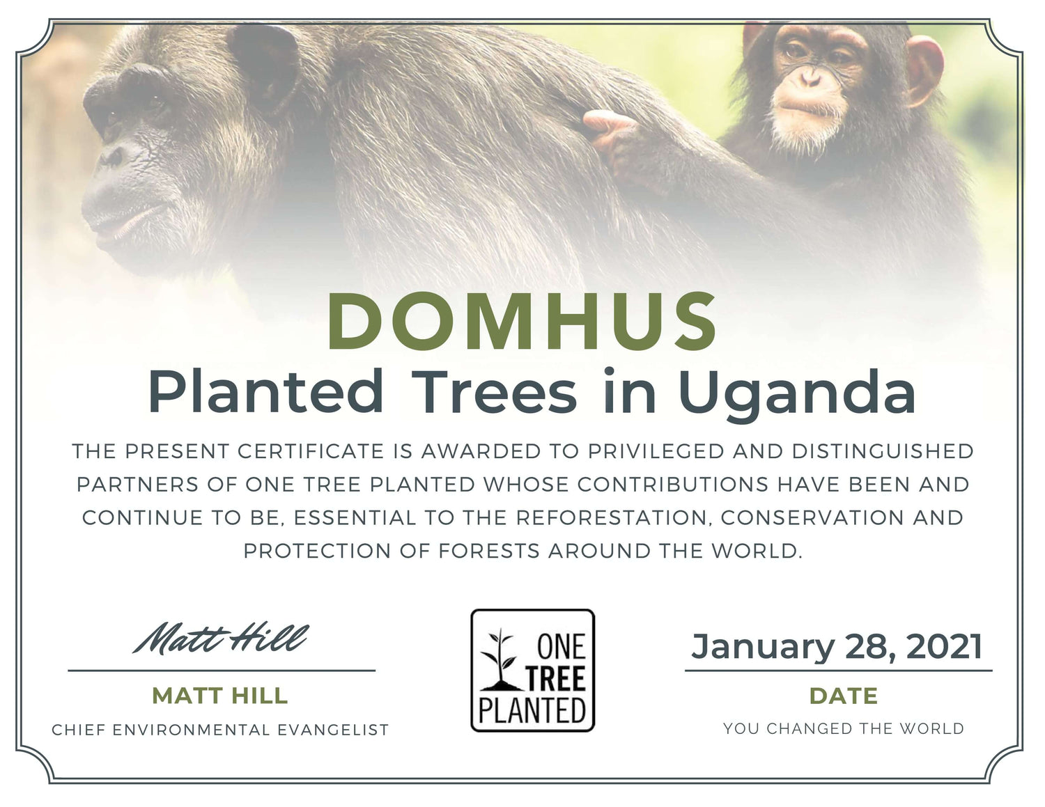 domhus reforestation partner certificate by one tree planted for planting trees in Uganda