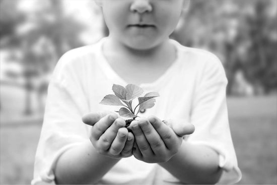 children caring and protecting a small plant in his hands 
